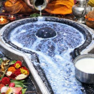 Jalabhishek Puja at Baba Baidyanath Dham Deoghar