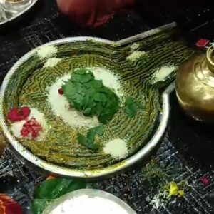 Baba Baidyanath Dham Rudrabhishek Puja