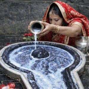 baba baidyanath premium rudrabhishek puja